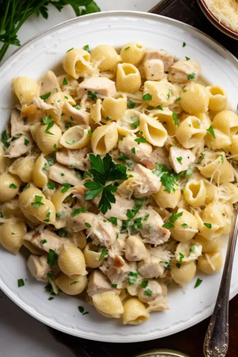 A plate of pasta with chicken and cheese.