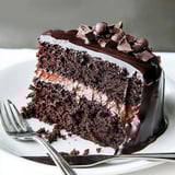 A slice of chocolate cake with chocolate chips on top.